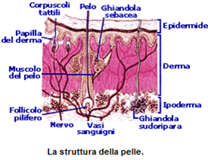 radiofrequenza-derma